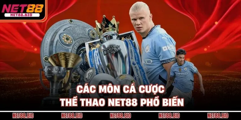 Thể thao NET88